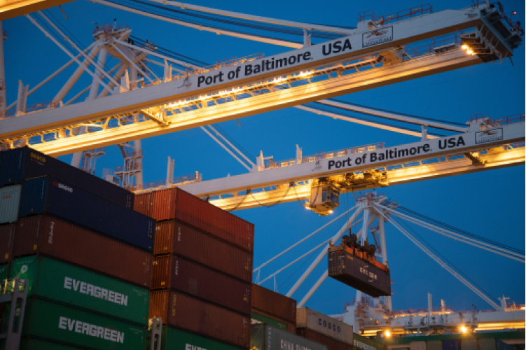 Logistic Sector